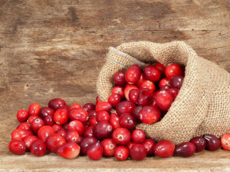 Cranberries in the bagの写真素材