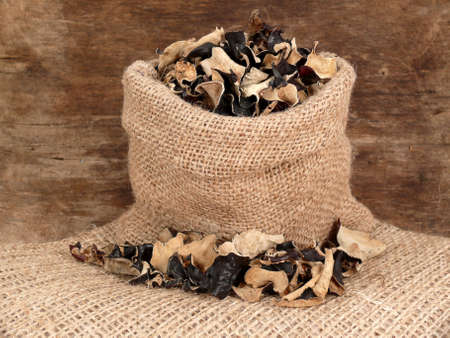 Black Fungusの写真素材