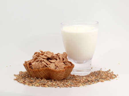Cereals with milkの写真素材