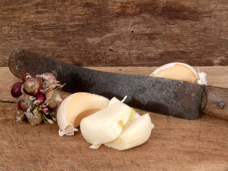 garlicの写真素材