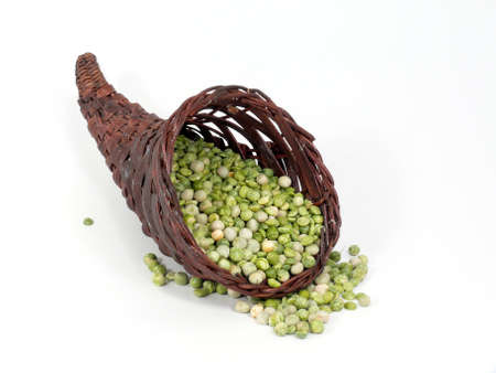 Cornucopiaの写真素材