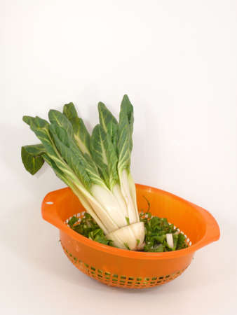 Mangoldの写真素材