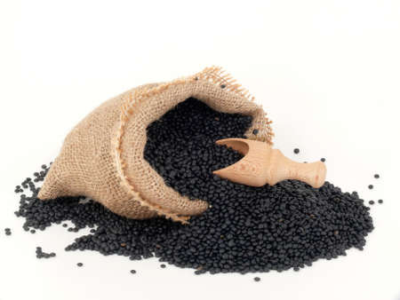 Beluga Lenses in the bagの写真素材