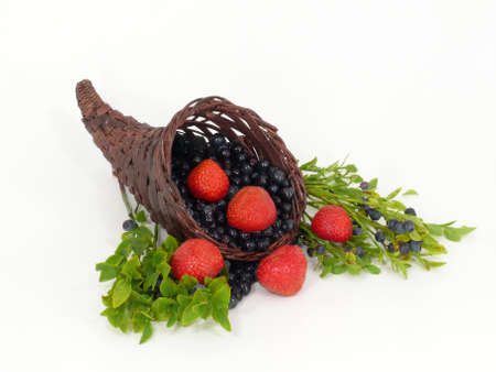 cornucopiaの写真素材