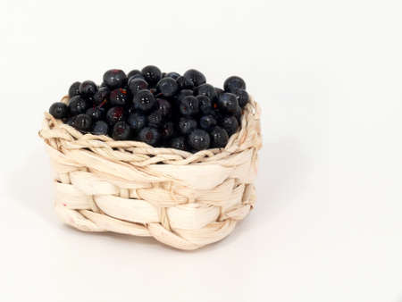 Blueberries の写真素材