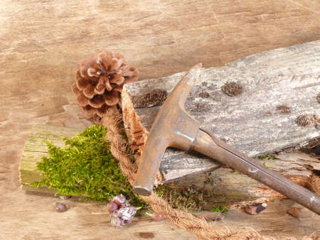 still life