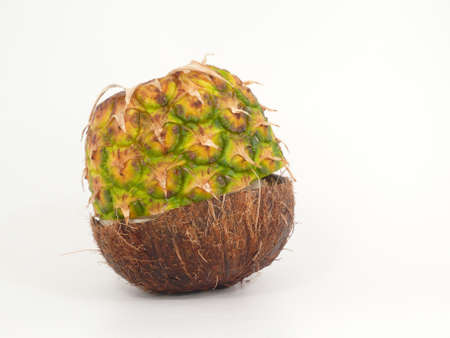  fruchtsalatの写真素材