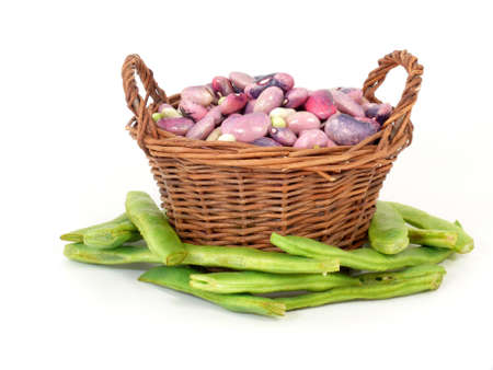 fresh beansの写真素材