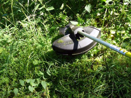 Brushcutter with a Brush blade in action  