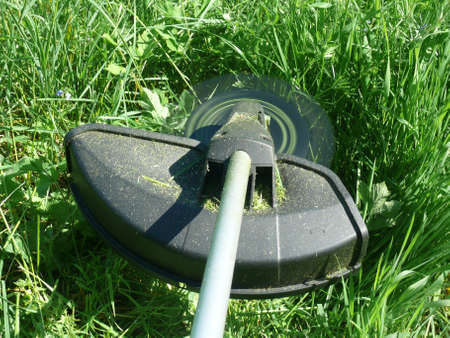 Brushcutter with a Brush blade in action  
