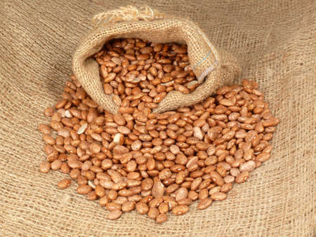 beans bagの写真素材