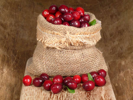  cranberriesの写真素材