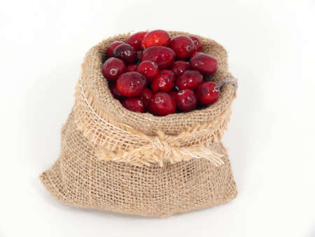 Cranberriesの写真素材