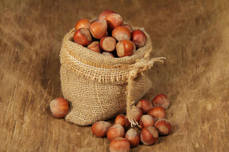  hazelnutsの写真素材