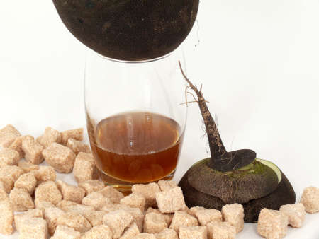 production of natural cough syrup from winter radishの写真素材