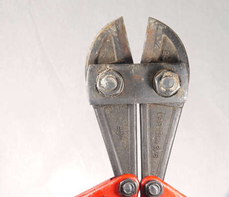 Bolt tailorsの写真素材