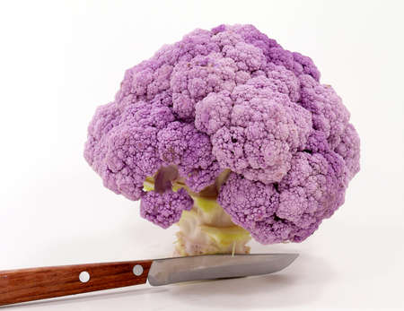 lilac cabbageの写真素材