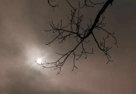 eclipse of the sun