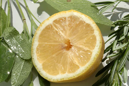herbal tea, lemonの写真素材