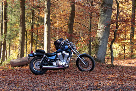 Chopper in the forestの写真素材