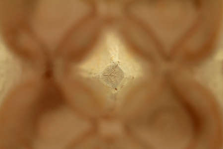 macro from egg carton