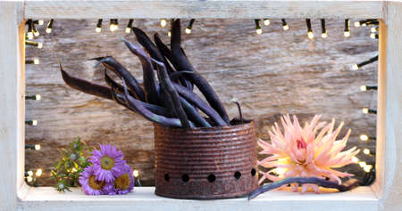 still life with beansの写真素材