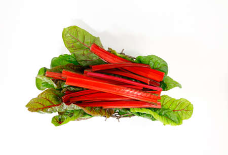 Red stem chard in studio