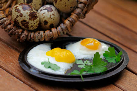 japanese legend quail and quail eggsの写真素材