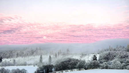Light mood and fog in winter around Kempenfeldrom/Veldrom.の写真素材