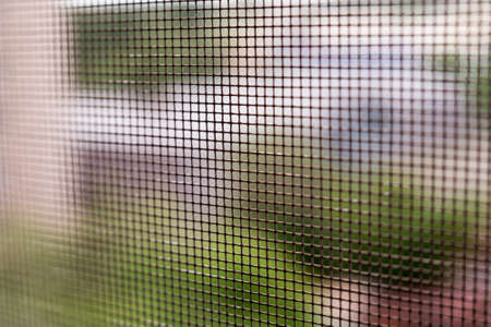 mosquito netの写真素材