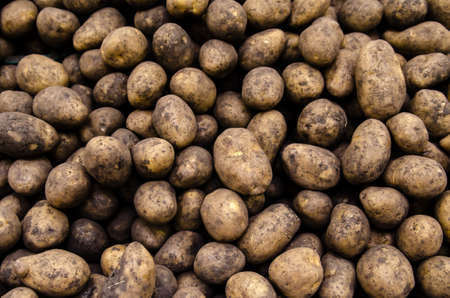 Fresh organic potatoes sold on the market.