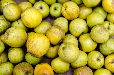 Fresh organic apples sold on the marketの写真素材