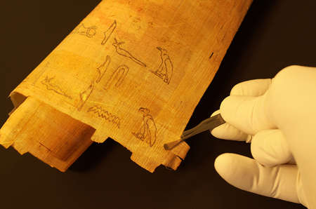 Egyptian hieroglyphs on papyrus analyzing by archaeologistの写真素材