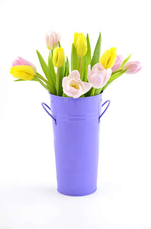 Pink and yellow tulips in purple metal bucket on white background in vertical formatの写真素材
