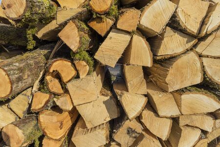 Sawn, split wood, trunks lie in the meadow. Theme: Alternative heating methods and environmental protection.の写真素材