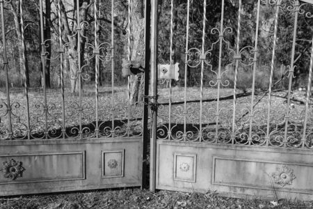 Rothenburg ob der Tauber, Germany - 18 February 2019: The streets of Rothenburg, Bavaria is federal state of Germany. Black and white shots of wintry, deserted Rothenburgのeditorial素材