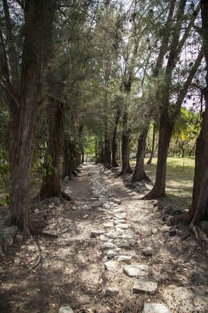 Havana, Cuba - 12 January 2013: The house of Ernest Hemingway, Finca Vigía in San Francisco de Paula. A path in the garden of the house.のeditorial素材