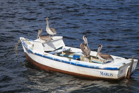 Havana, Cuba - 22 January 2013: An old fishing boat in the middle of the sea with cormorants on the board. Sea views seen from the coast.のeditorial素材