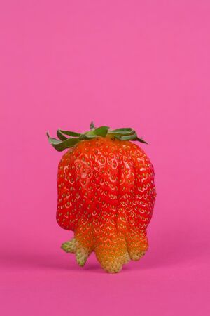 Strawberries isolated on a pink background, close up viewの写真素材
