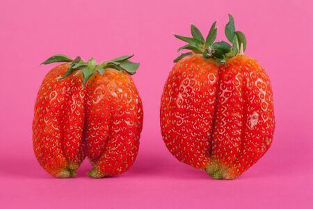 Strawberries isolated on a pink background, close up viewの写真素材