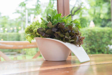 salad bowlの写真素材