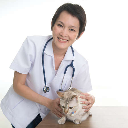 pretty woman veterinarian with cat