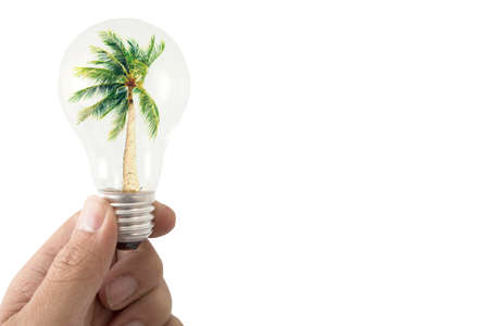 hand hold light bulb with coconut tree insideの写真素材