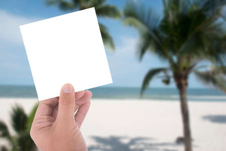 hand hold blank card on coconut tree on the beachの写真素材