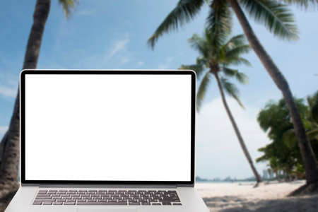computer with blank screen on picture of coconut tree on the beachの写真素材