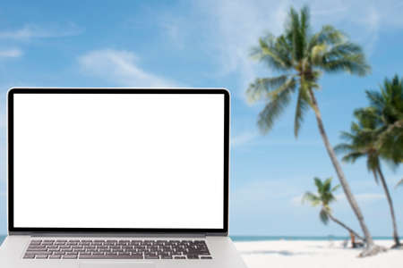 computer with blank screen on picture of coconut tree on the beachの写真素材