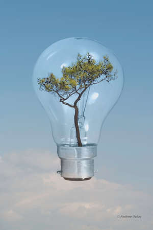 Tree shown growing inside an の写真素材