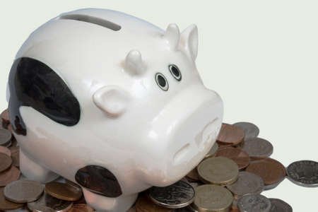 Porcelain cow on pile of coinsの写真素材