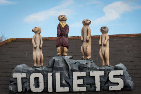 Meerkat toilet signの写真素材