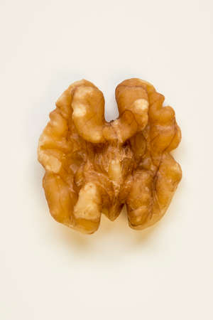 Walnut, single close up, against white background